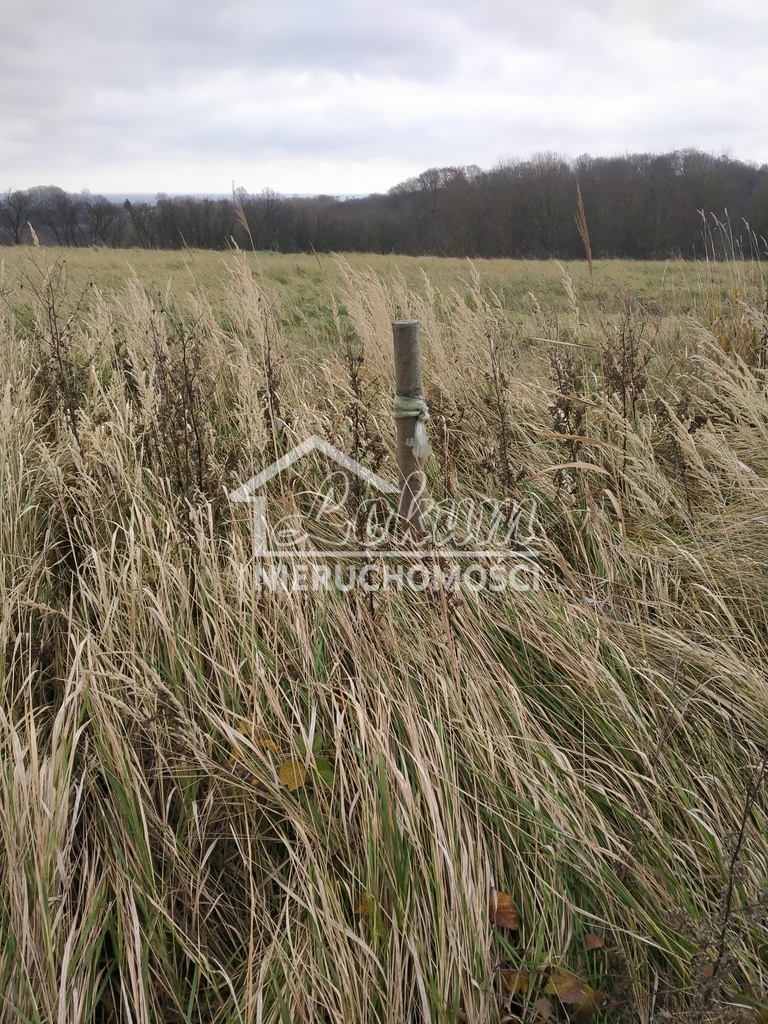 Działka rolna 3074&nbsp;m², Szczecin - zdjęcie 12