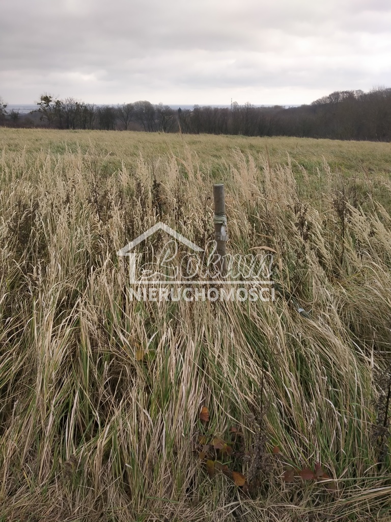 Działka rolna 3074&nbsp;m², Szczecin - zdjęcie 14