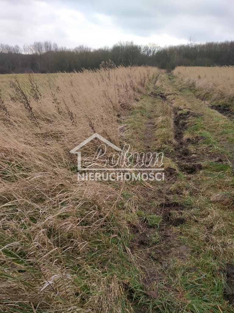 Działka rolna 3074&nbsp;m², Szczecin - zdjęcie 11