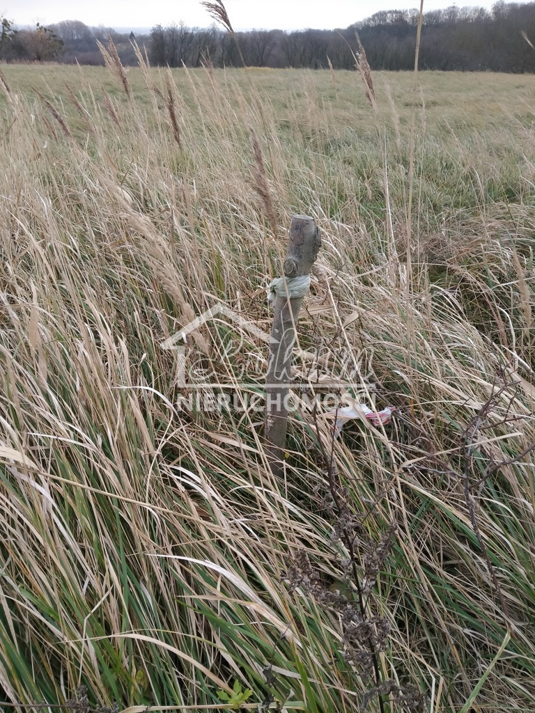 Działka rolna 3074&nbsp;m², Szczecin - zdjęcie 9