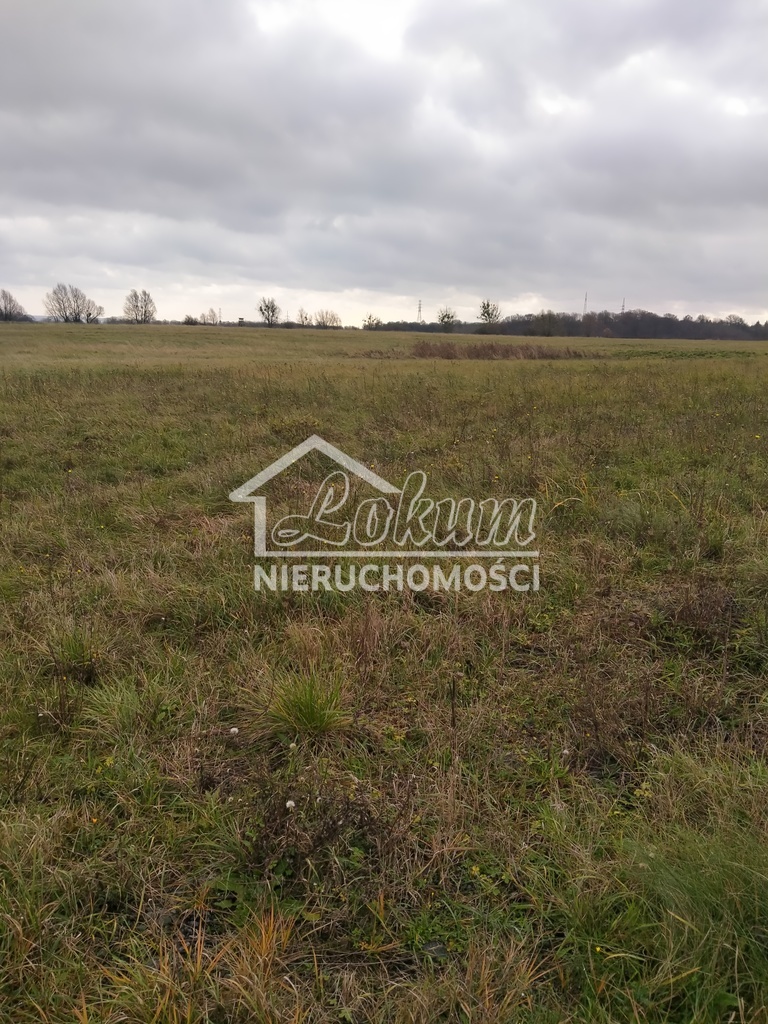 Działka rolna 3074&nbsp;m², Szczecin - zdjęcie 1