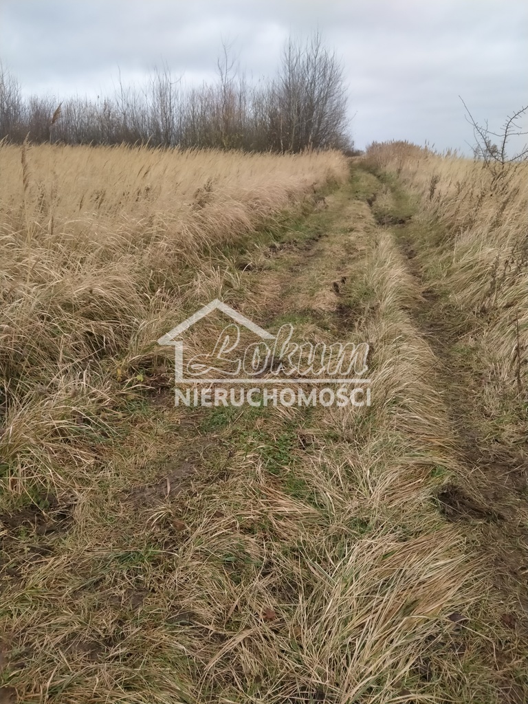 Działka rolna 3074&nbsp;m², Szczecin - zdjęcie 13