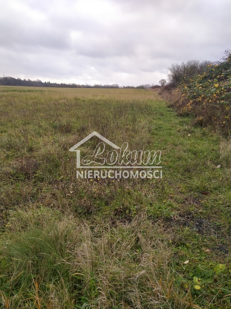 Działka rolna 3074&nbsp;m², Szczecin - zdjęcie 8