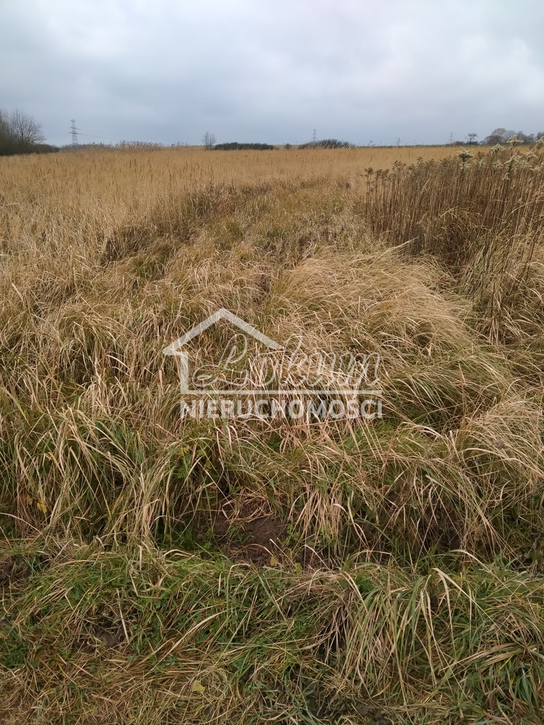 Działka rolna 3074&nbsp;m², Szczecin - zdjęcie 16