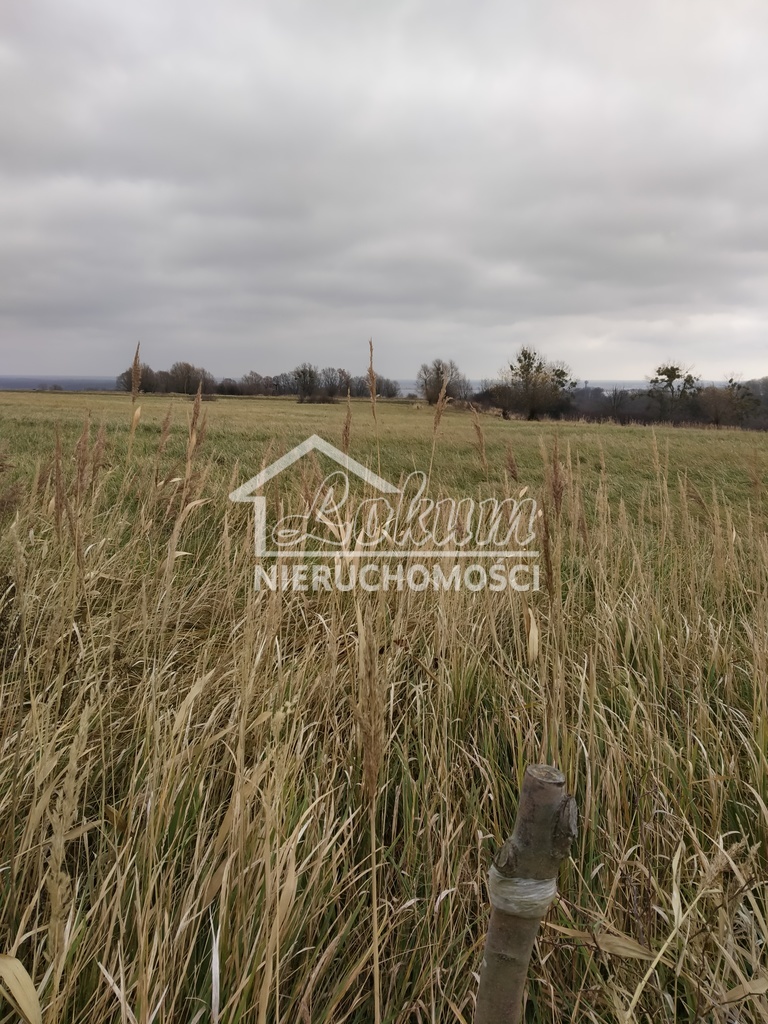 Działka rolna 3074&nbsp;m², Szczecin - zdjęcie 2