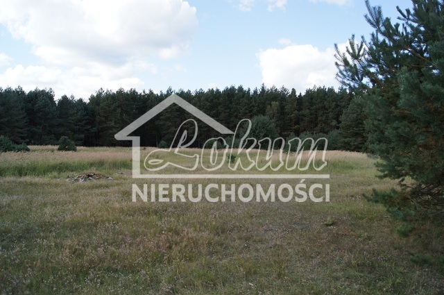 Działka budowlana 1,05&nbsp;ha, Sowno - zdjęcie 5