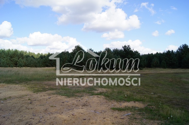 Działka budowlana 1,05&nbsp;ha, Sowno - zdjęcie 3