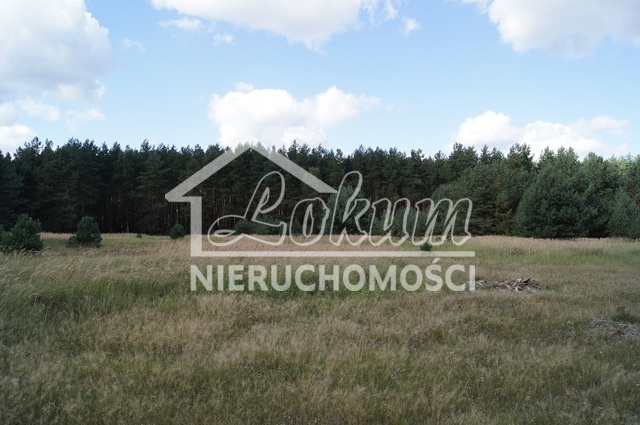 Działka budowlana 1,05&nbsp;ha, Sowno - zdjęcie 4