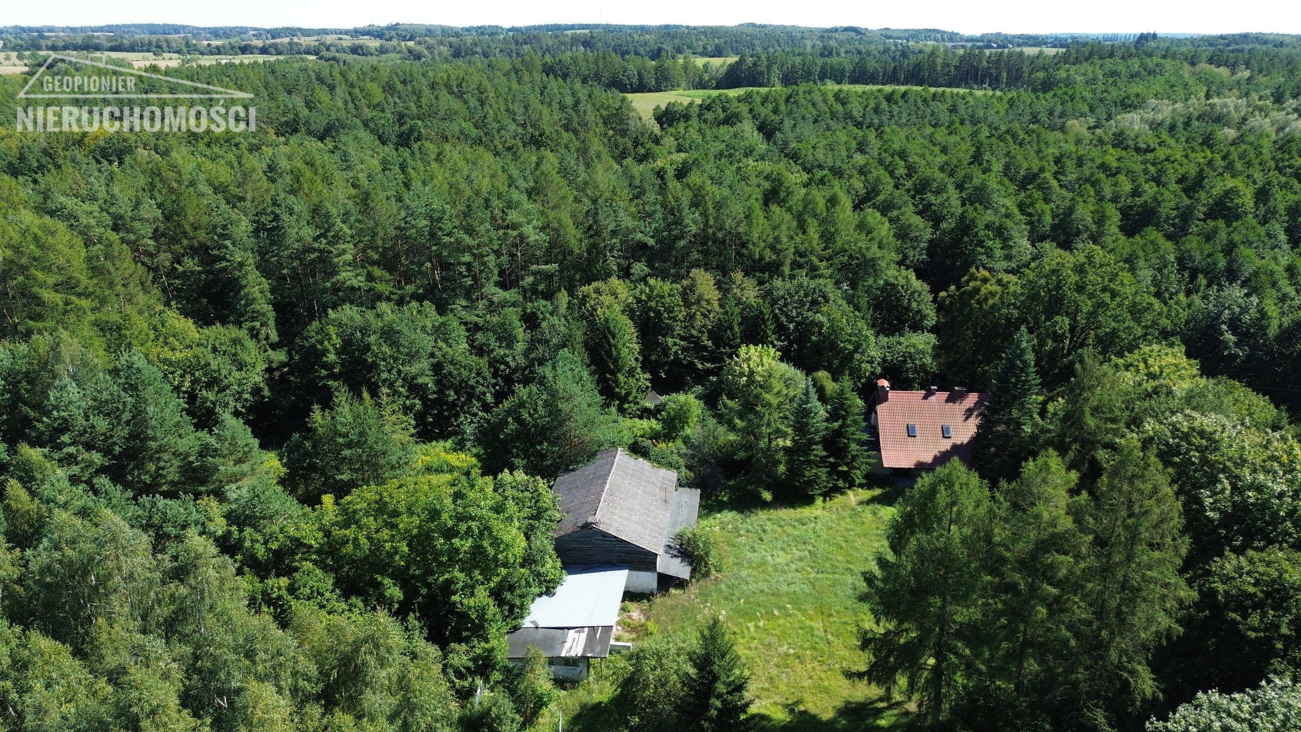 Mazury - Kalwa - dom mieszkalny, gospodarczy, wokół las, cisza, spokój, malownicza okolica - zdjęcie 2