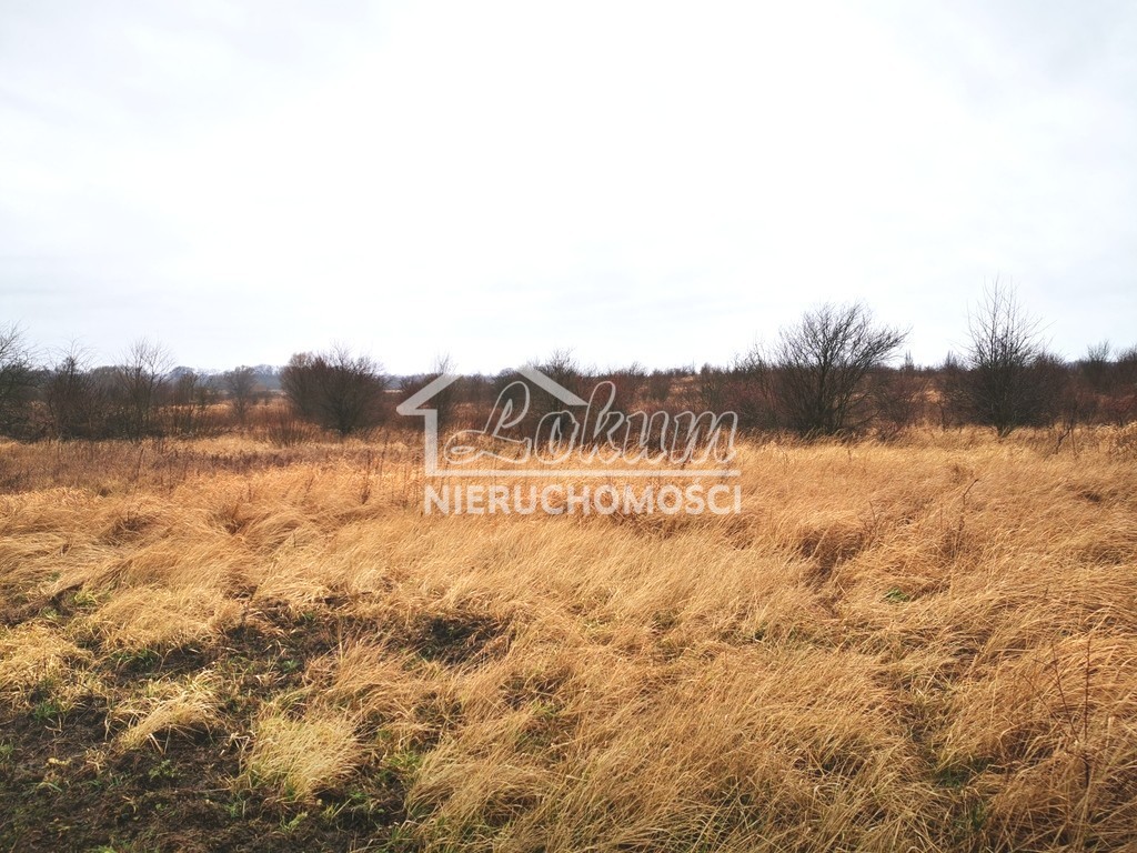 Działka rolna 924&nbsp;m², Morzyczyn, Brzozowa - zdjęcie 1