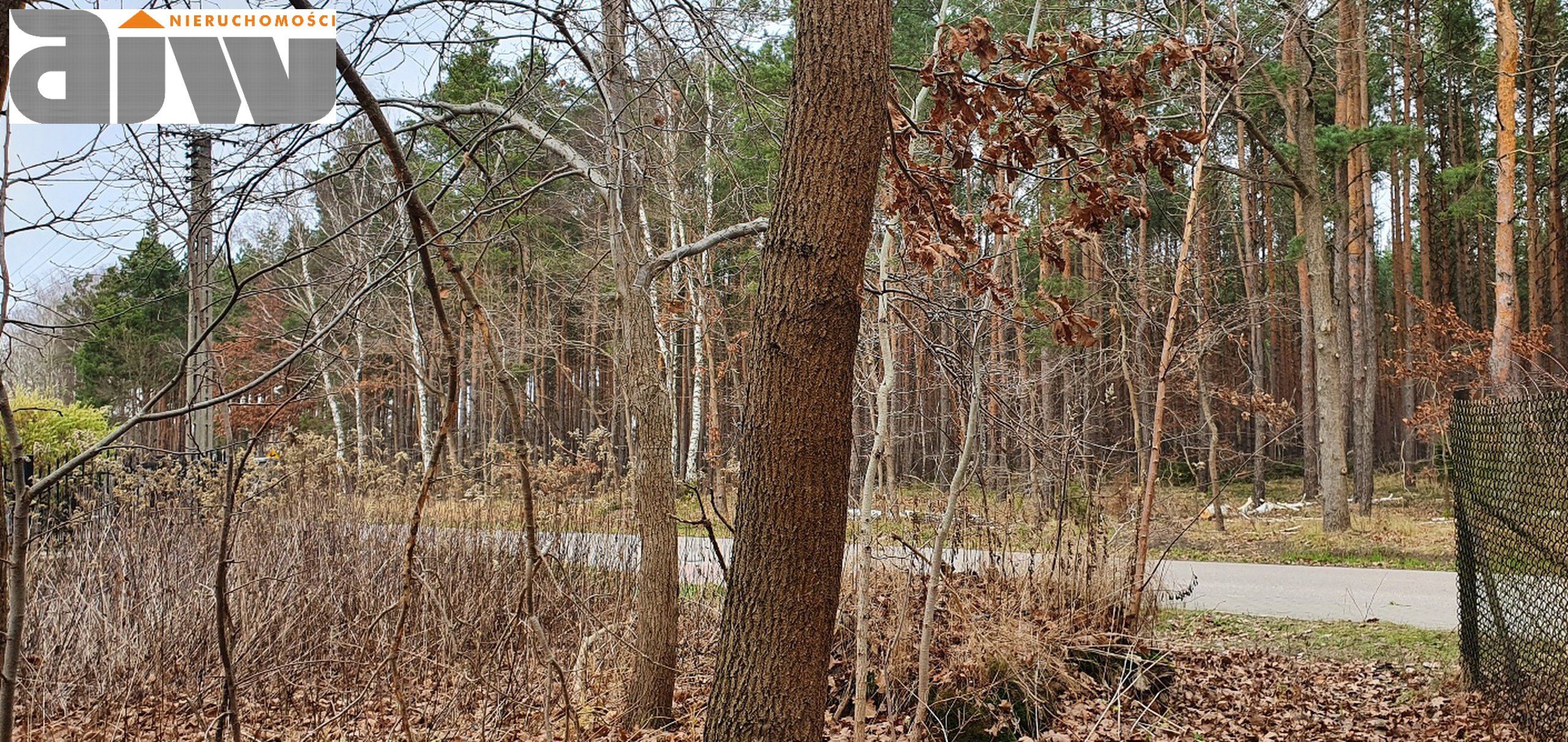 Działka Truskaw pow. 1300 m2 - zdjęcie 4