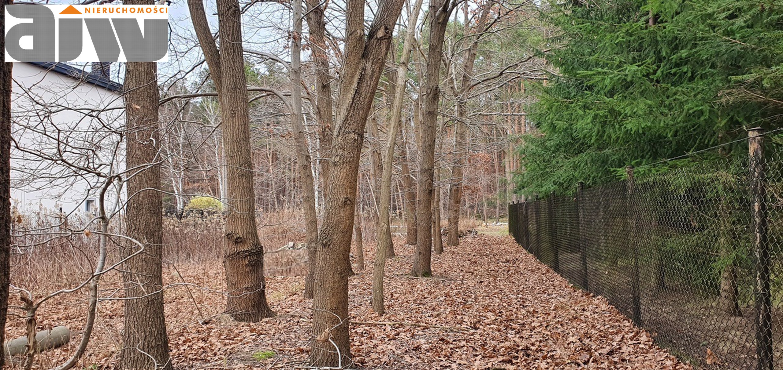 Działka Truskaw pow. 1300 m2 - zdjęcie 2