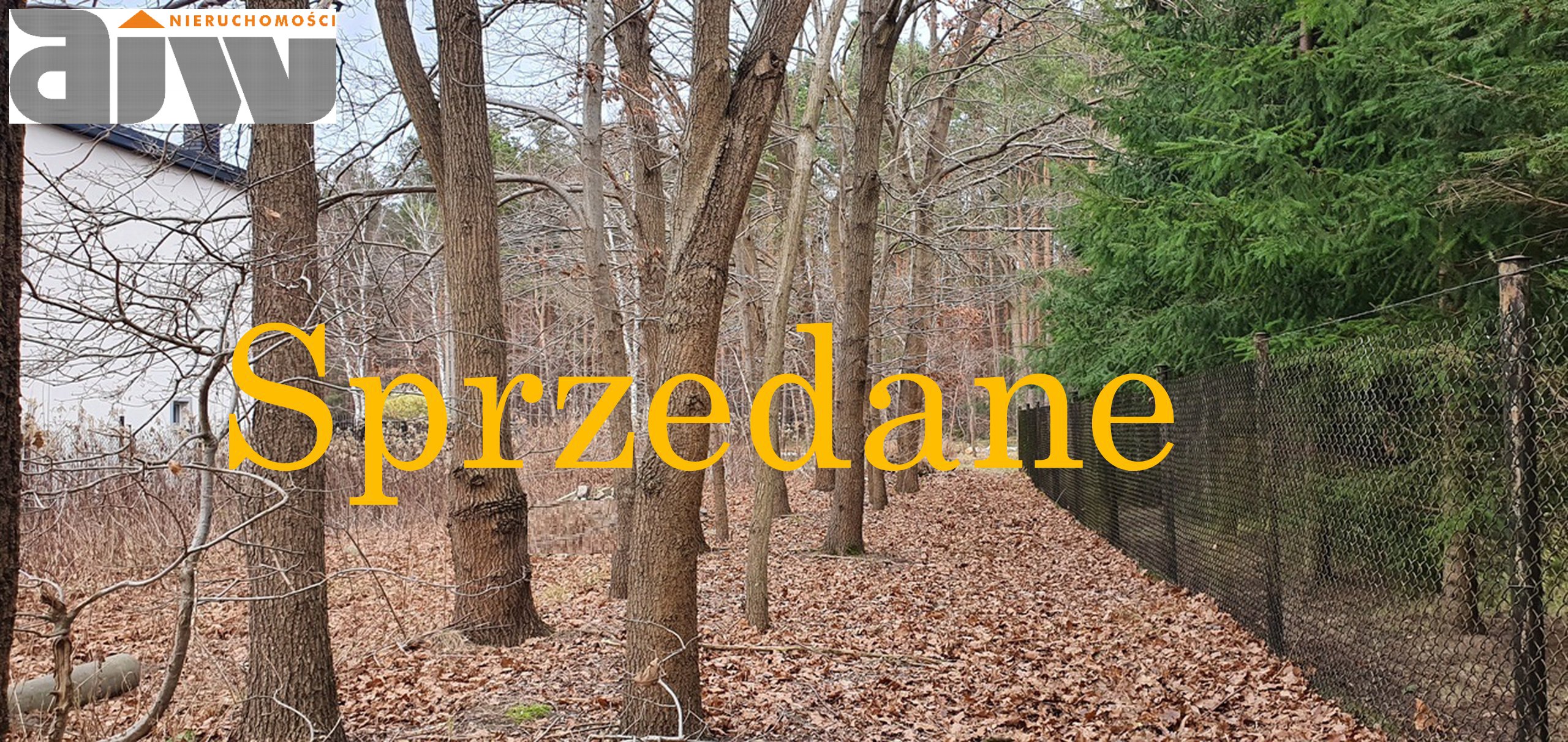 Działka Truskaw pow. 1300 m2 - zdjęcie 1