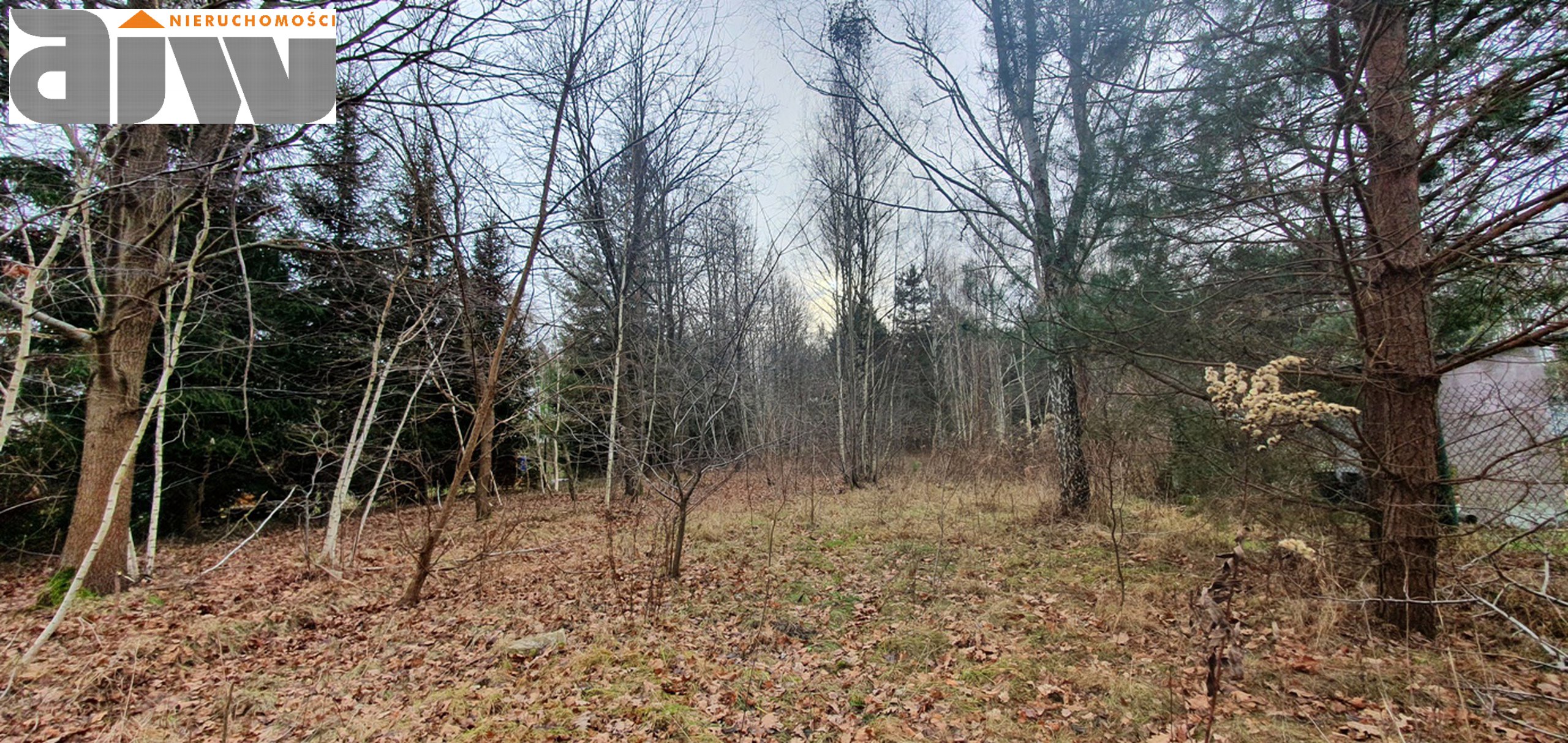 Działka Truskaw pow. 1300 m2 - zdjęcie 3