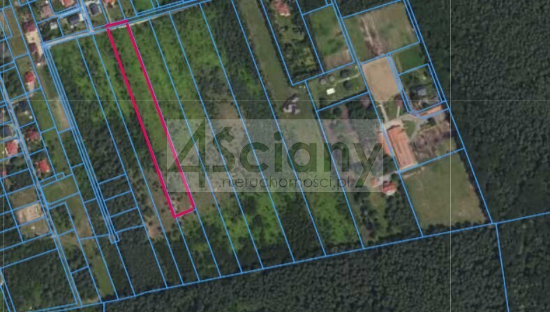Działka budowlana 9900&nbsp;m², Łoś - zdjęcie 5