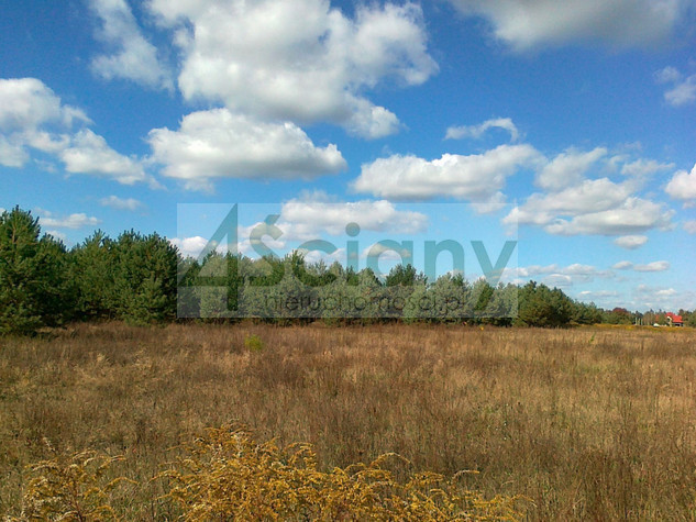 Działka budowlana 9900&nbsp;m², Łoś - zdjęcie 3