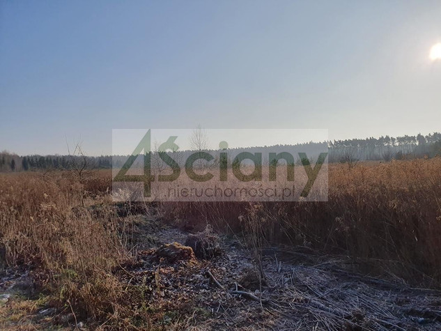 Działka budowlana 9900&nbsp;m², Łoś - zdjęcie 2