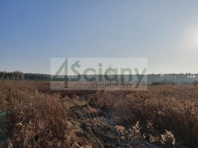 Działka budowlana 9900&nbsp;m², Łoś - zdjęcie 1