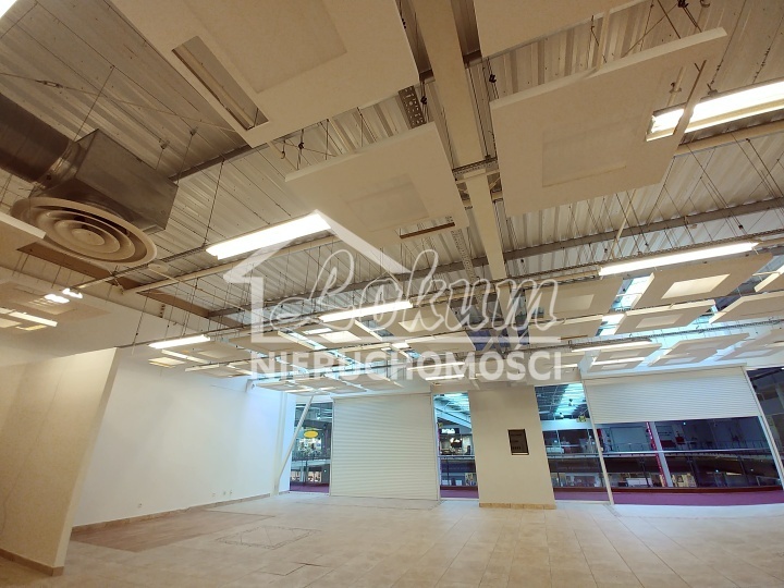 Lokal usługowy do wynajęcia, 391&nbsp;m², Szczecin - zdjęcie 4