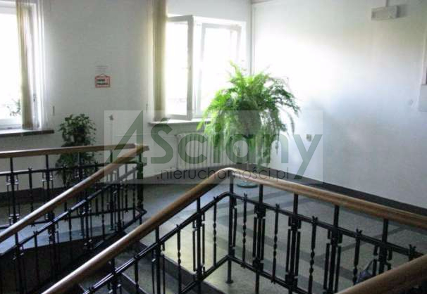 Lokal biurowy do wynajęcia, 165 m², Warszawa - zdjęcie 3