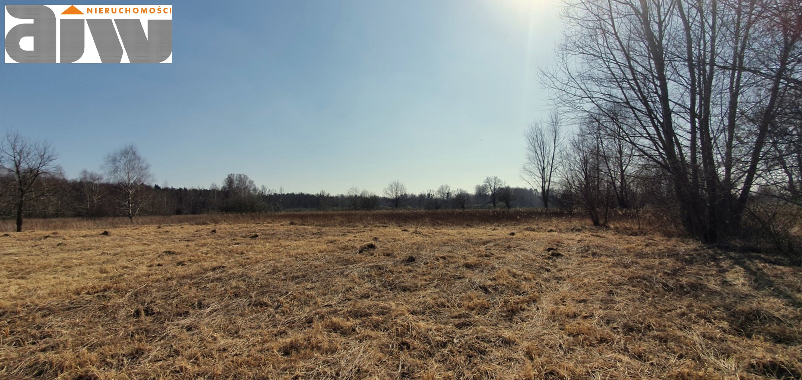 Duża działka Klaudyn 1750m2 - zdjęcie 2