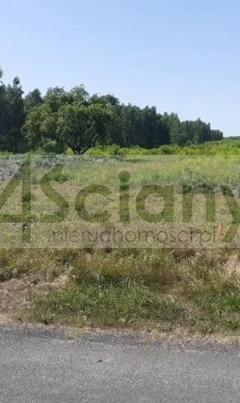 Działka budowlana 9,14 ha, Władysławów - zdjęcie 1