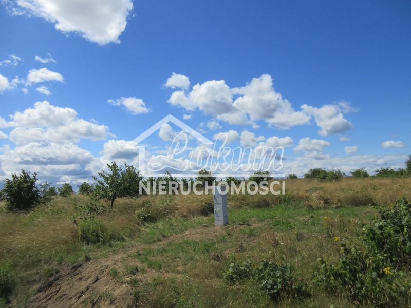 Działka budowlana 1309&nbsp;m², Lędzin - zdjęcie 5