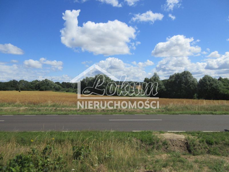 Działka budowlana 1309&nbsp;m², Lędzin - zdjęcie 3