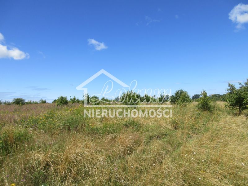 Działka budowlana 1309&nbsp;m², Lędzin - zdjęcie 4