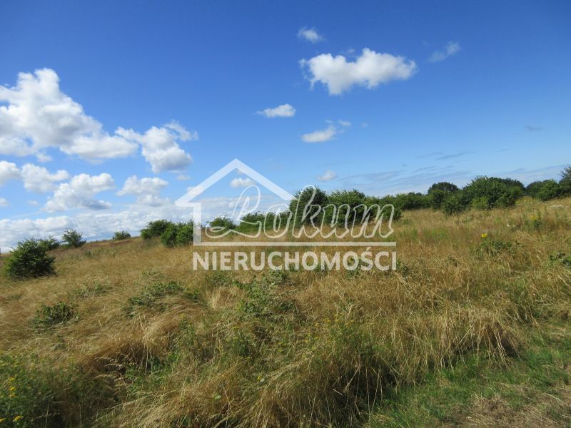 Działka budowlana 1309&nbsp;m², Lędzin - zdjęcie 7