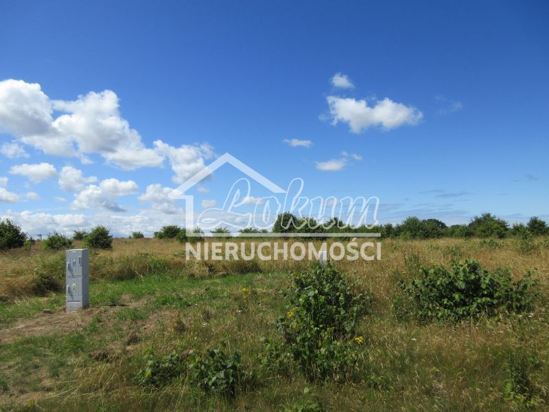 Działka budowlana 1309&nbsp;m², Lędzin - zdjęcie 1