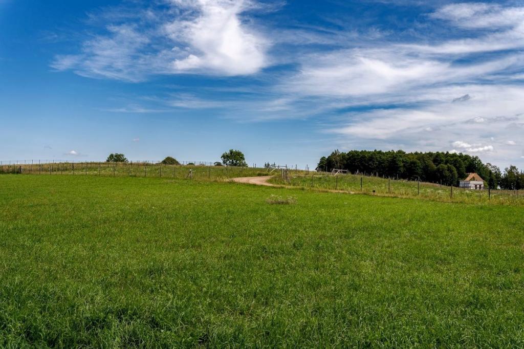 Działka budowlana 3870 m², Bogacko - zdjęcie 11