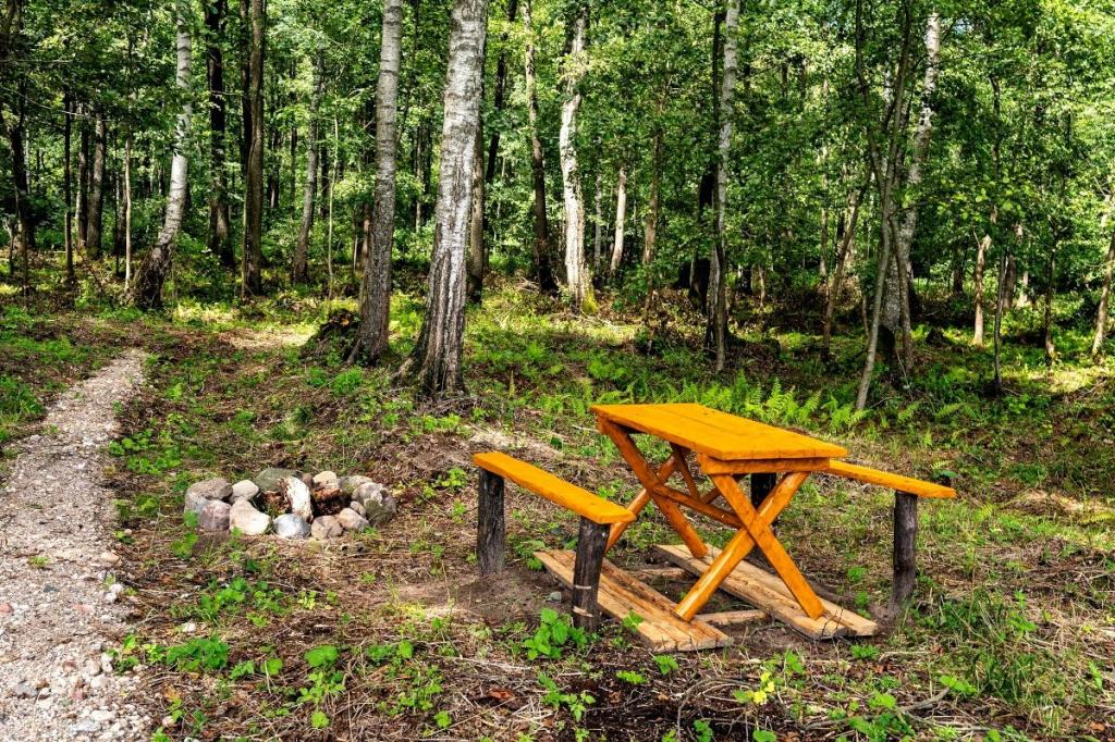 Działka budowlana 3870 m², Bogacko - zdjęcie 15