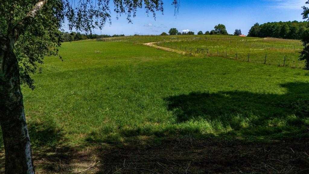 Działka budowlana 3870 m², Bogacko - zdjęcie 12