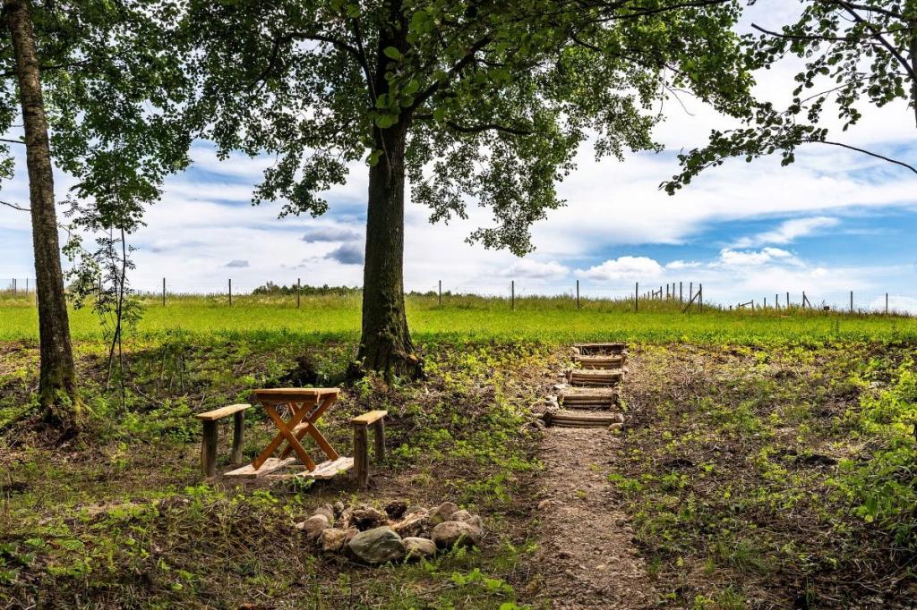 Działka budowlana 3870 m², Bogacko - zdjęcie 14