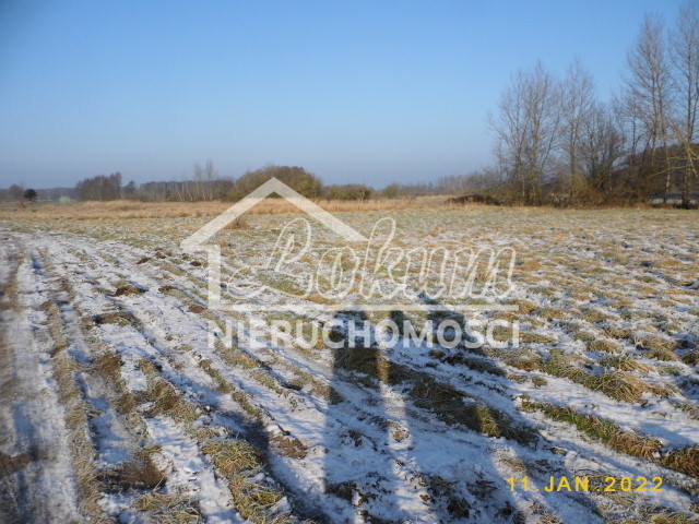 Działka rolna 1173&nbsp;m², Brzózki - zdjęcie 2