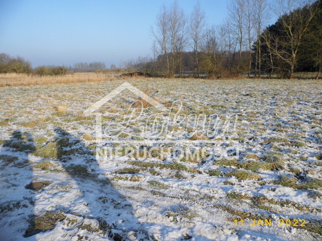 Działka rolna 1173&nbsp;m², Brzózki - zdjęcie 1