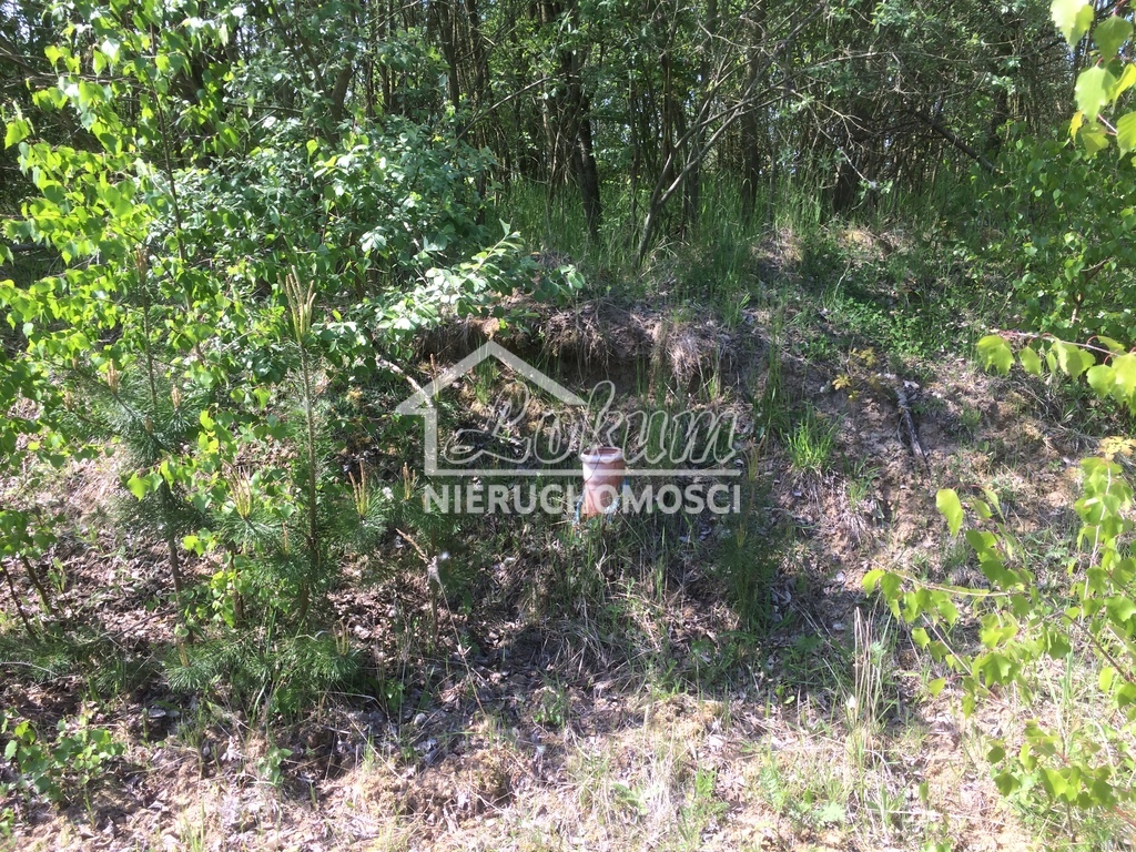 Działka budowlana 3400&nbsp;m², Stare Czarnowo - zdjęcie 4