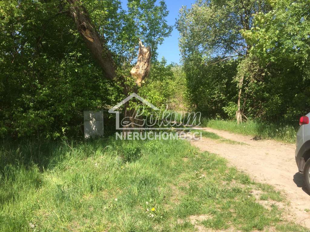 Działka budowlana 3400&nbsp;m², Stare Czarnowo - zdjęcie 2