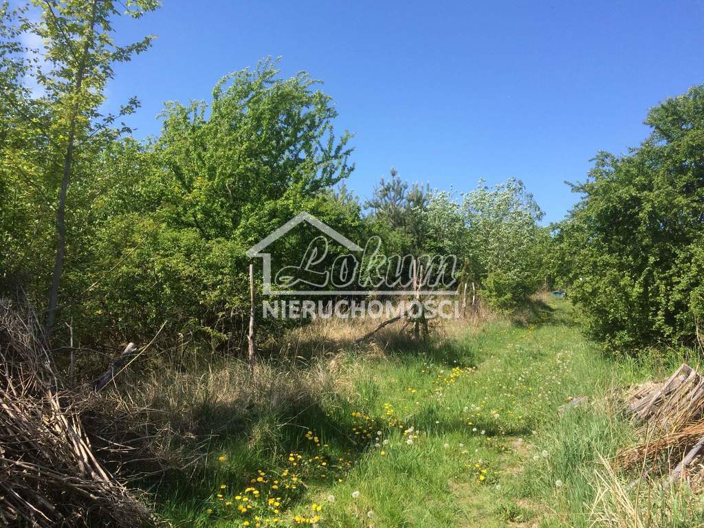 Działka budowlana 3400&nbsp;m², Stare Czarnowo - zdjęcie 1