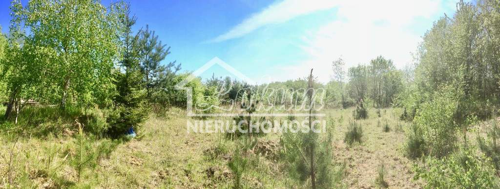 Działka budowlana 3400&nbsp;m², Stare Czarnowo - zdjęcie 3