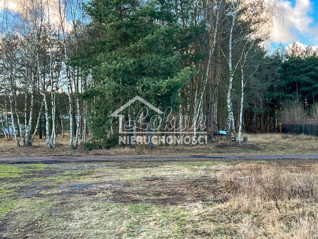 Działka rolna 1000&nbsp;m², Babigoszcz - zdjęcie 2