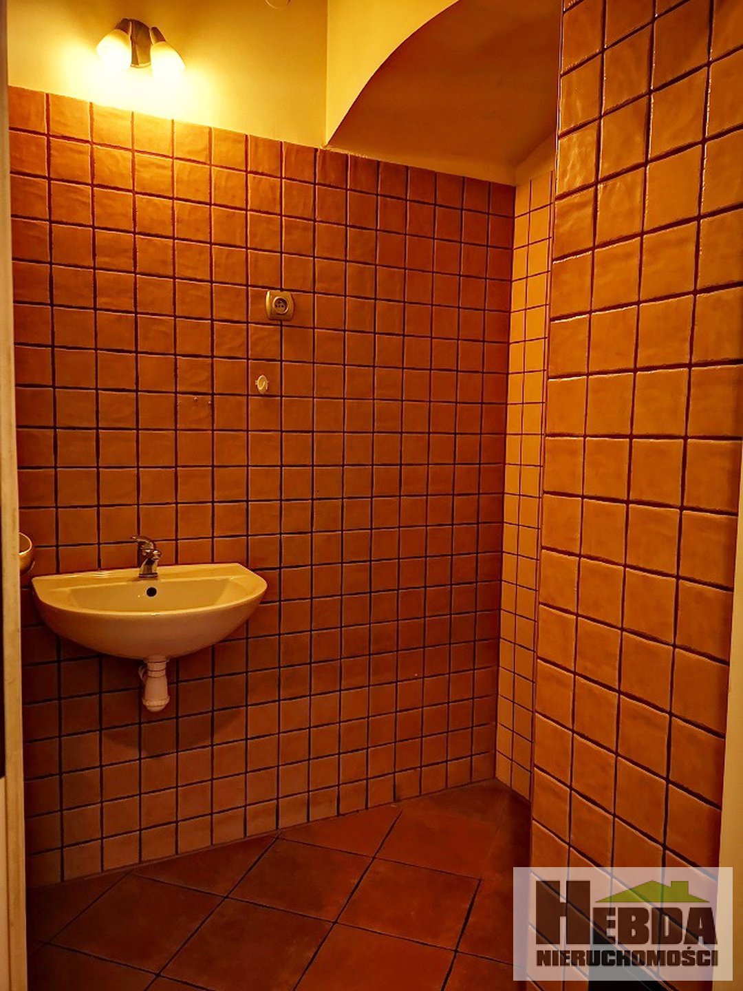 Tarnów, ul.Lwowska, lokal na sklep - handlowy, na kafejke internetową, na piekarnię . - zdjęcie 5