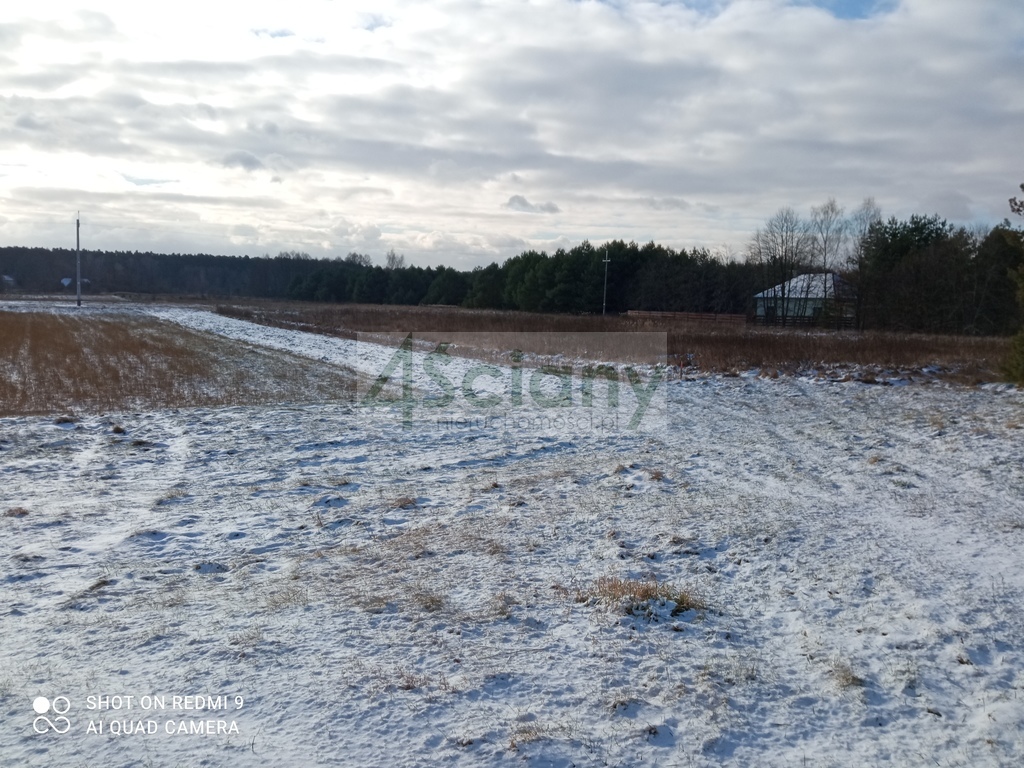 Działka rolna 1,26&nbsp;ha, Nowiny - zdjęcie 2