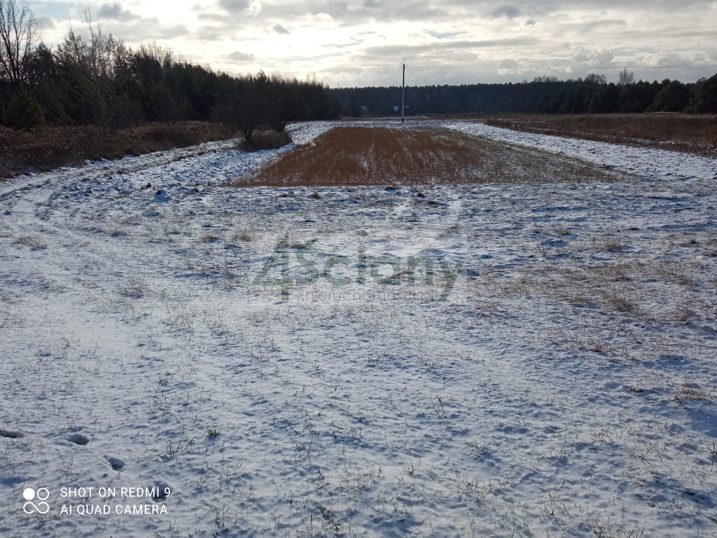 Działka rolna 1,26&nbsp;ha, Nowiny - zdjęcie 3
