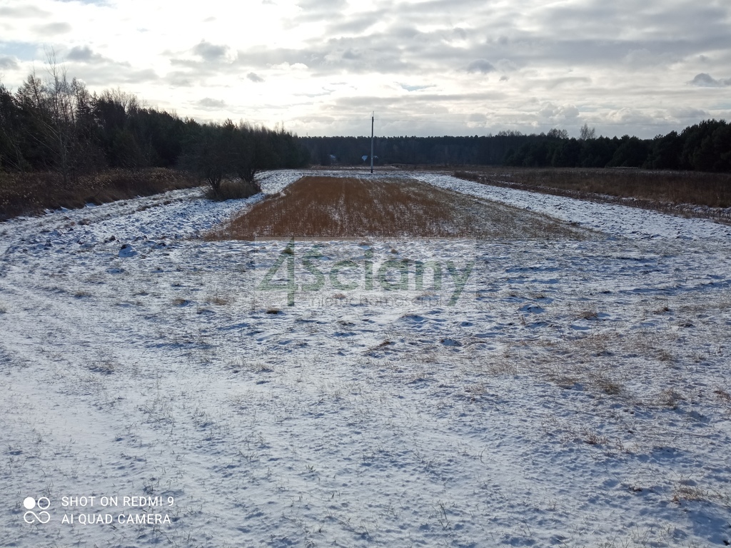 Działka rolna 1,26&nbsp;ha, Nowiny - zdjęcie 1