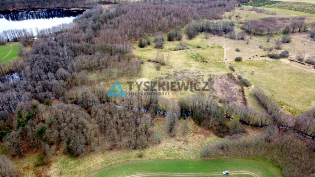 Działka rolna w sąsiedztwie lasu - zdjęcie 7