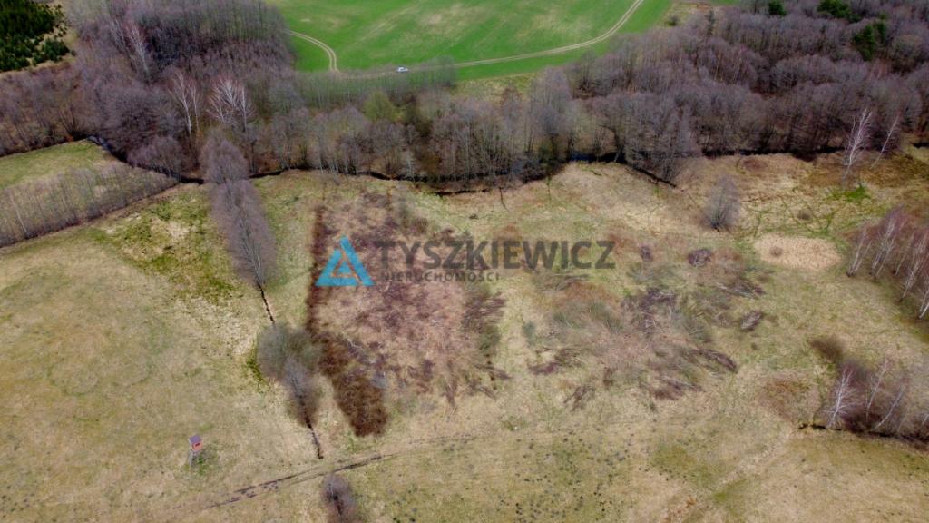 Działka rolna w sąsiedztwie lasu - zdjęcie 17