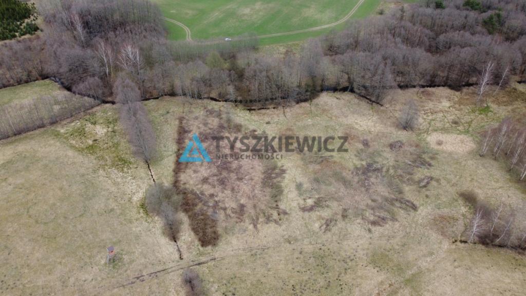 Działka rolna w sąsiedztwie lasu - zdjęcie 19