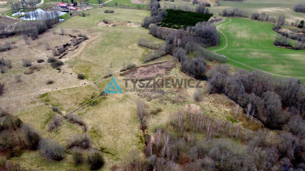 Działka rolna w sąsiedztwie lasu - zdjęcie 6
